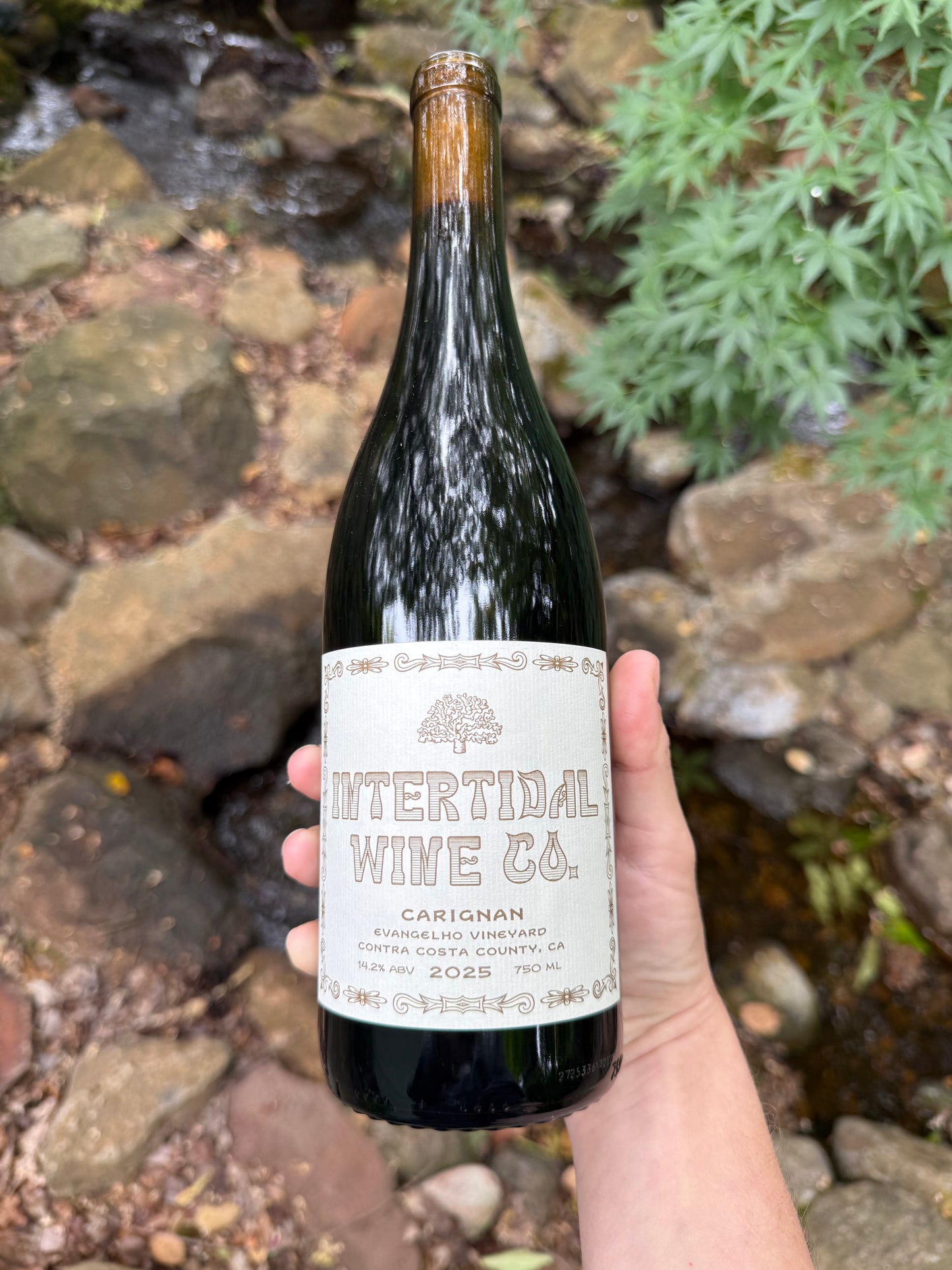 2025 Evangelho Carignan