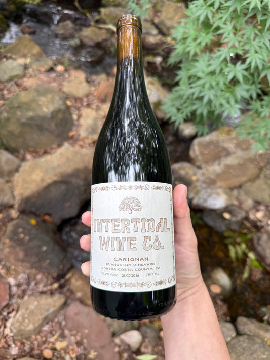 2025 Evangelho Carignan
